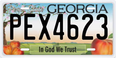 GA license plate PEX4623