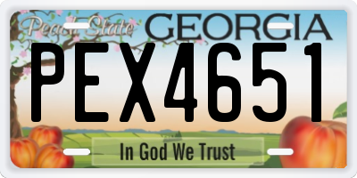GA license plate PEX4651