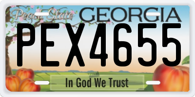 GA license plate PEX4655