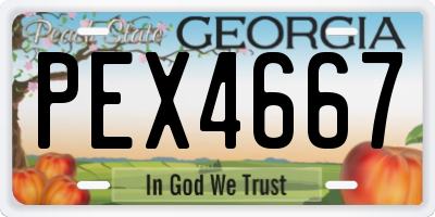 GA license plate PEX4667