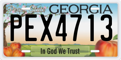 GA license plate PEX4713