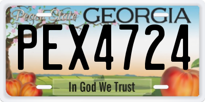 GA license plate PEX4724