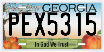 GA license plate PEX5315