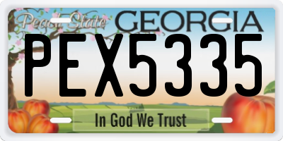 GA license plate PEX5335