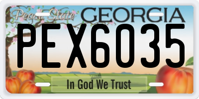 GA license plate PEX6035
