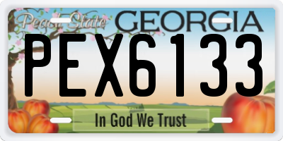 GA license plate PEX6133