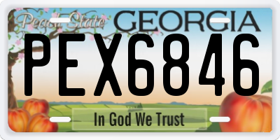 GA license plate PEX6846