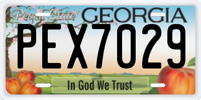 GA license plate PEX7029