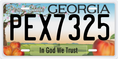 GA license plate PEX7325