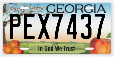 GA license plate PEX7437