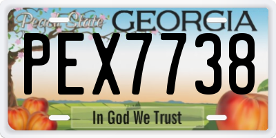 GA license plate PEX7738