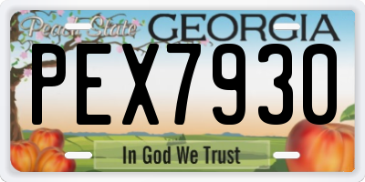 GA license plate PEX7930