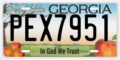 GA license plate PEX7951
