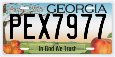 GA license plate PEX7977