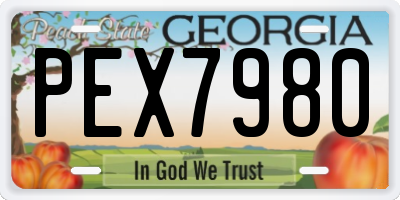 GA license plate PEX7980