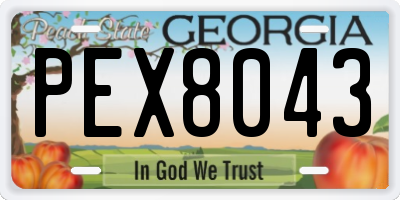 GA license plate PEX8043