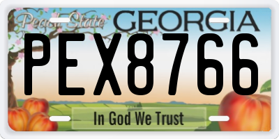 GA license plate PEX8766