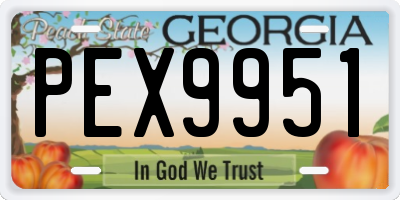 GA license plate PEX9951