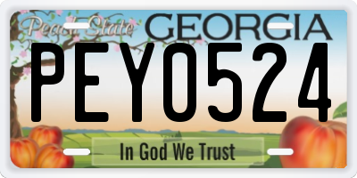 GA license plate PEY0524