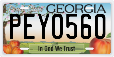 GA license plate PEY0560