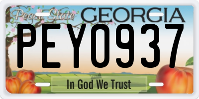 GA license plate PEY0937