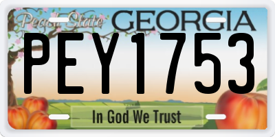 GA license plate PEY1753