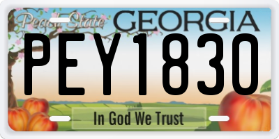GA license plate PEY1830