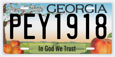 GA license plate PEY1918