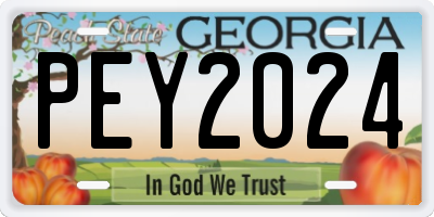 GA license plate PEY2024