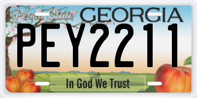GA license plate PEY2211