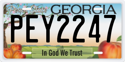 GA license plate PEY2247