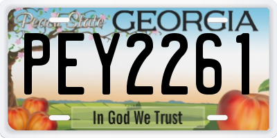 GA license plate PEY2261