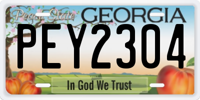 GA license plate PEY2304