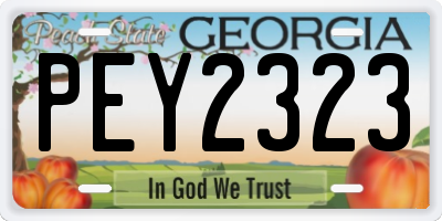 GA license plate PEY2323