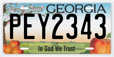 GA license plate PEY2343