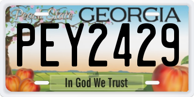 GA license plate PEY2429
