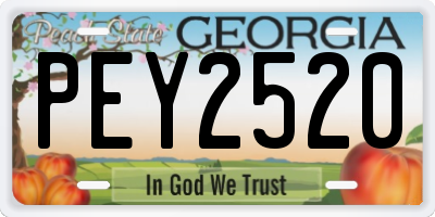 GA license plate PEY2520