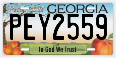 GA license plate PEY2559