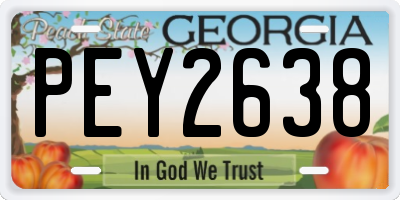 GA license plate PEY2638
