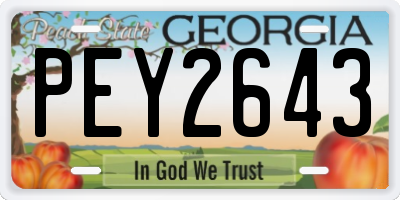 GA license plate PEY2643