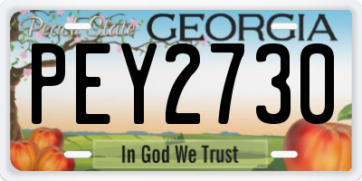 GA license plate PEY2730