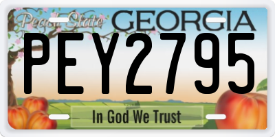 GA license plate PEY2795