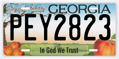 GA license plate PEY2823