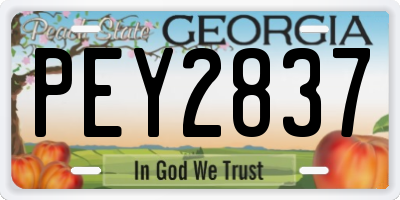 GA license plate PEY2837