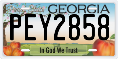 GA license plate PEY2858