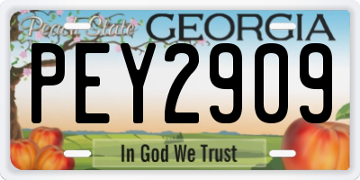 GA license plate PEY2909
