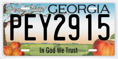 GA license plate PEY2915