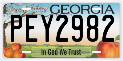 GA license plate PEY2982