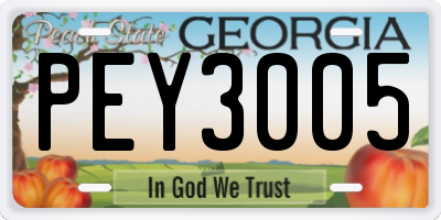 GA license plate PEY3005