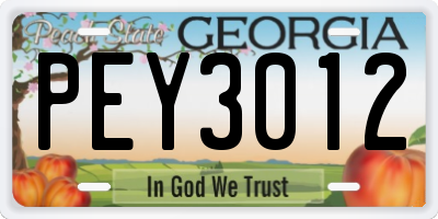 GA license plate PEY3012